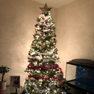 Meet your Posher, Joanne